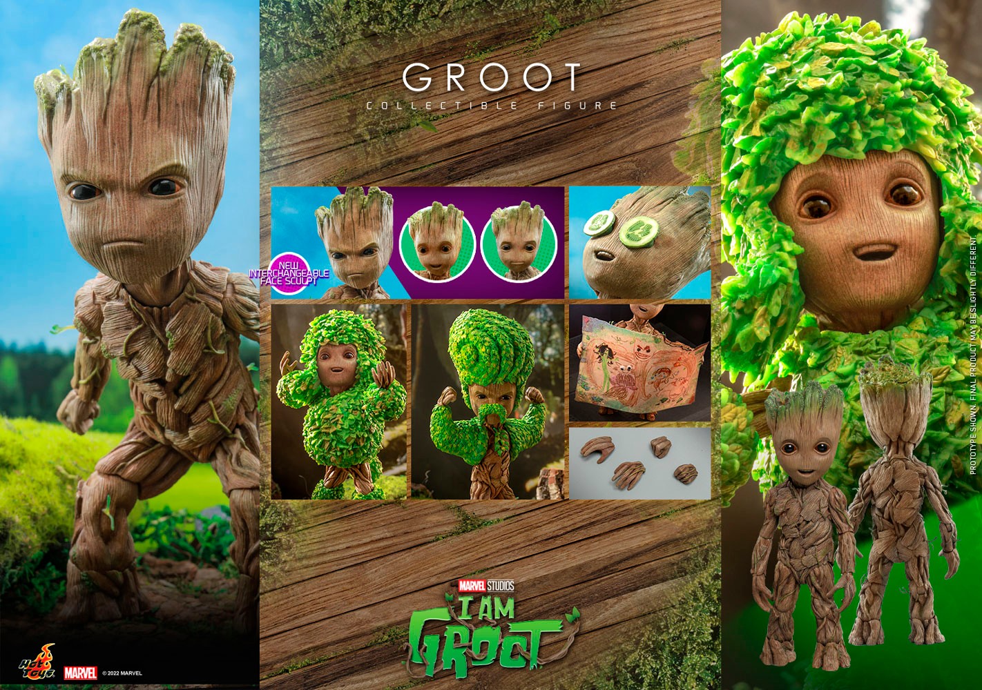 Groot