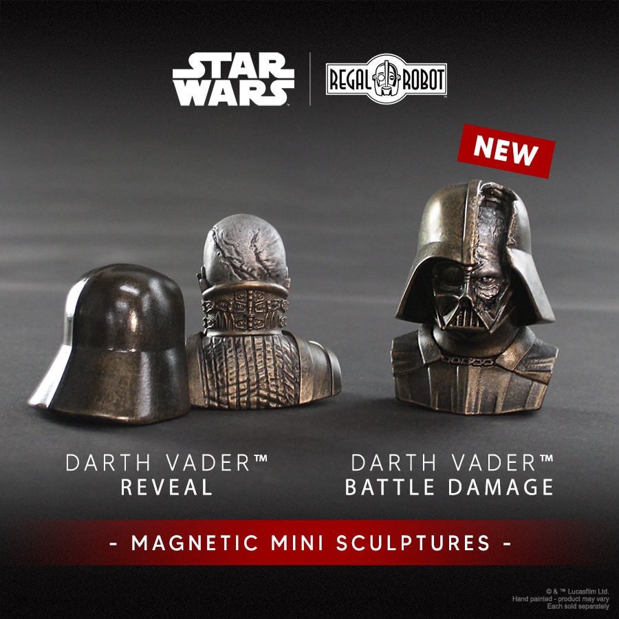 Darth Vader™ Battle-Damaged Magnet