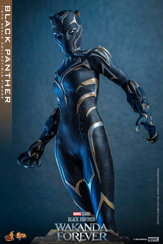 Preorder ! Hot toys MMS675 Black Panther Wakanda Forever : Black Panth –  Pop Collectibles