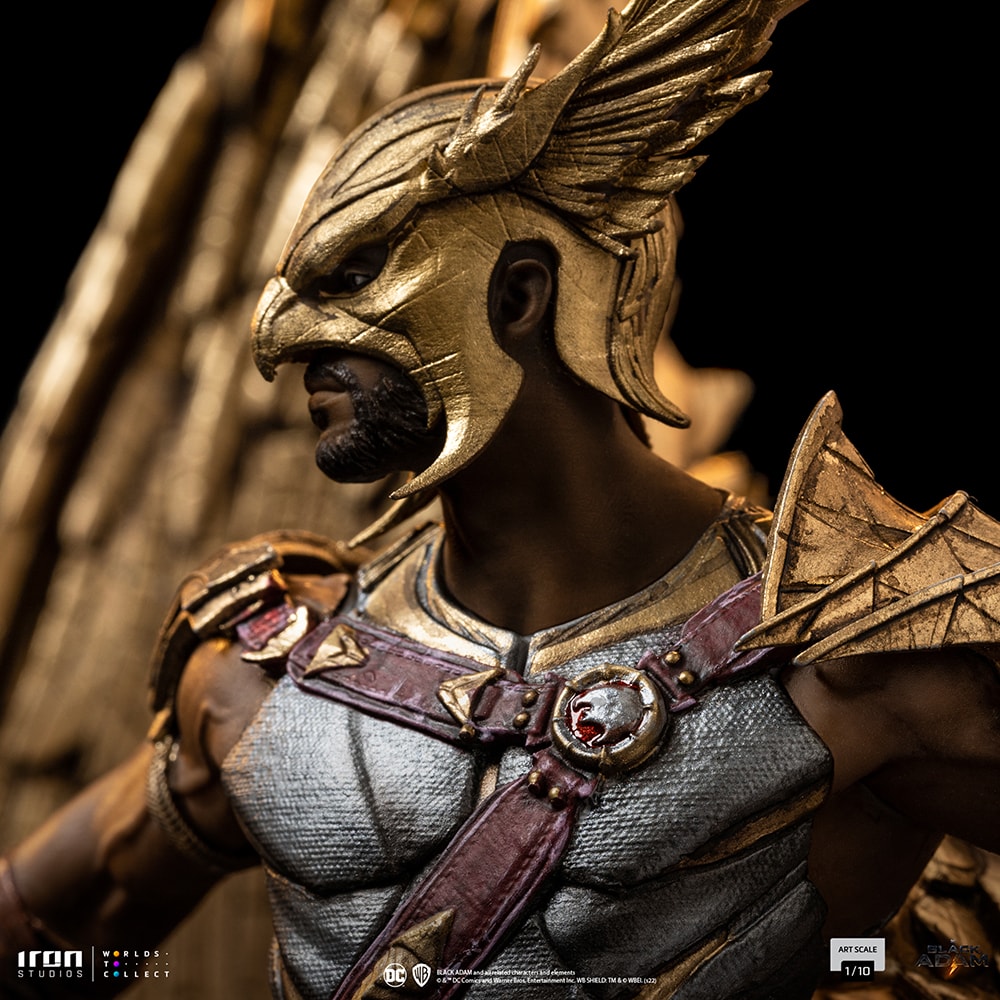Hawkman (Prototype Shown) View 9