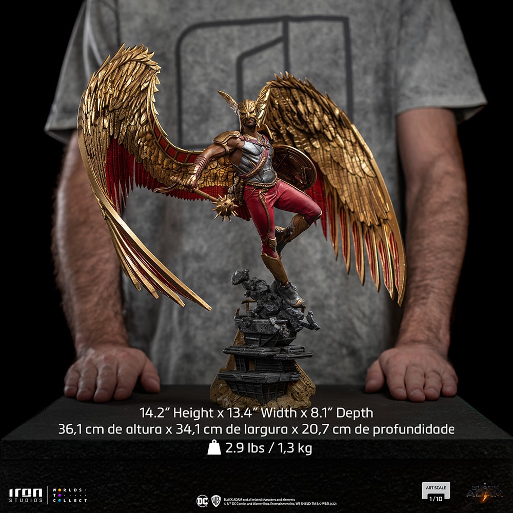 Hawkman (Prototype Shown) View 18