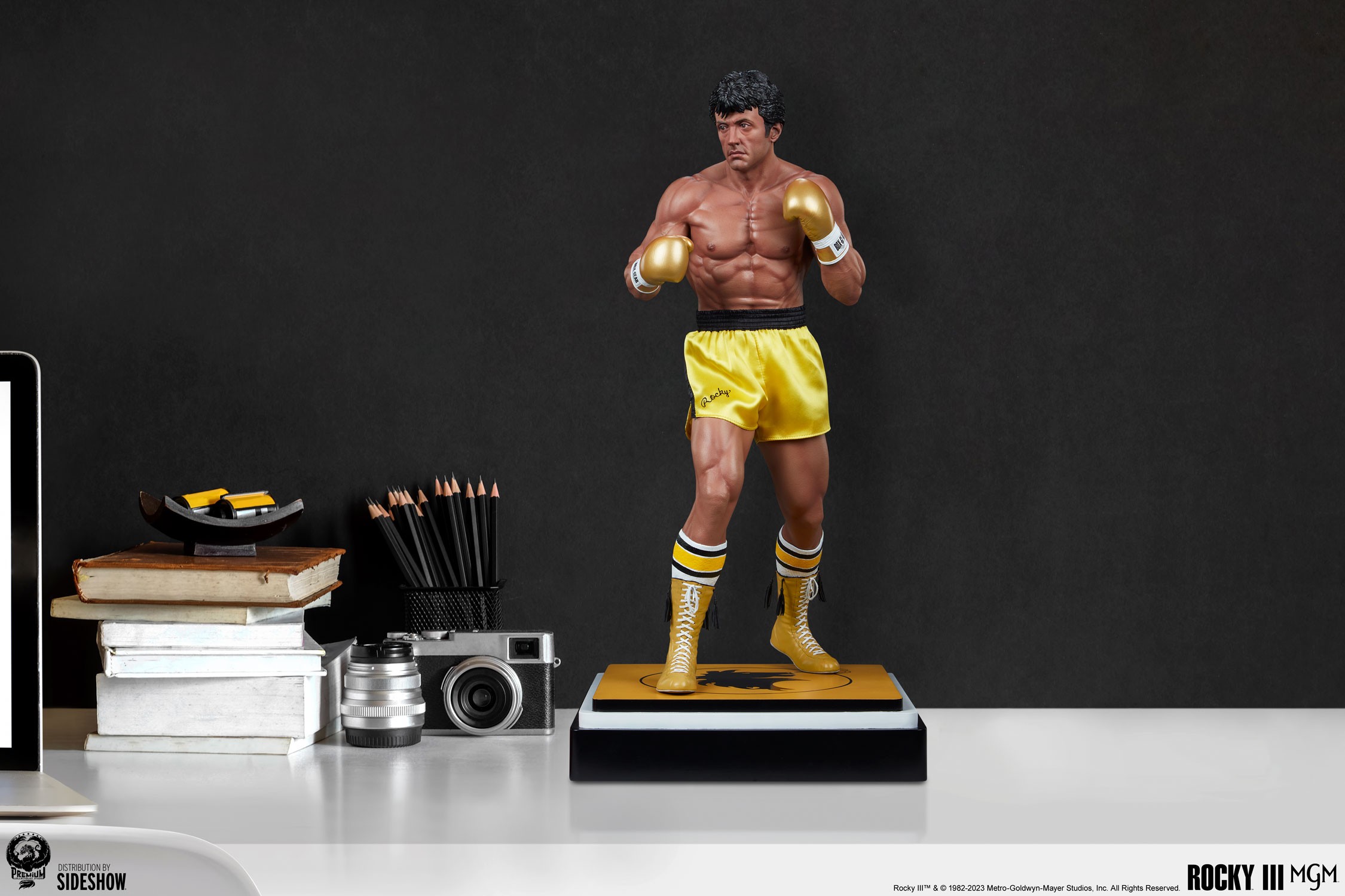 Rocky III (Prototype Shown) View 5