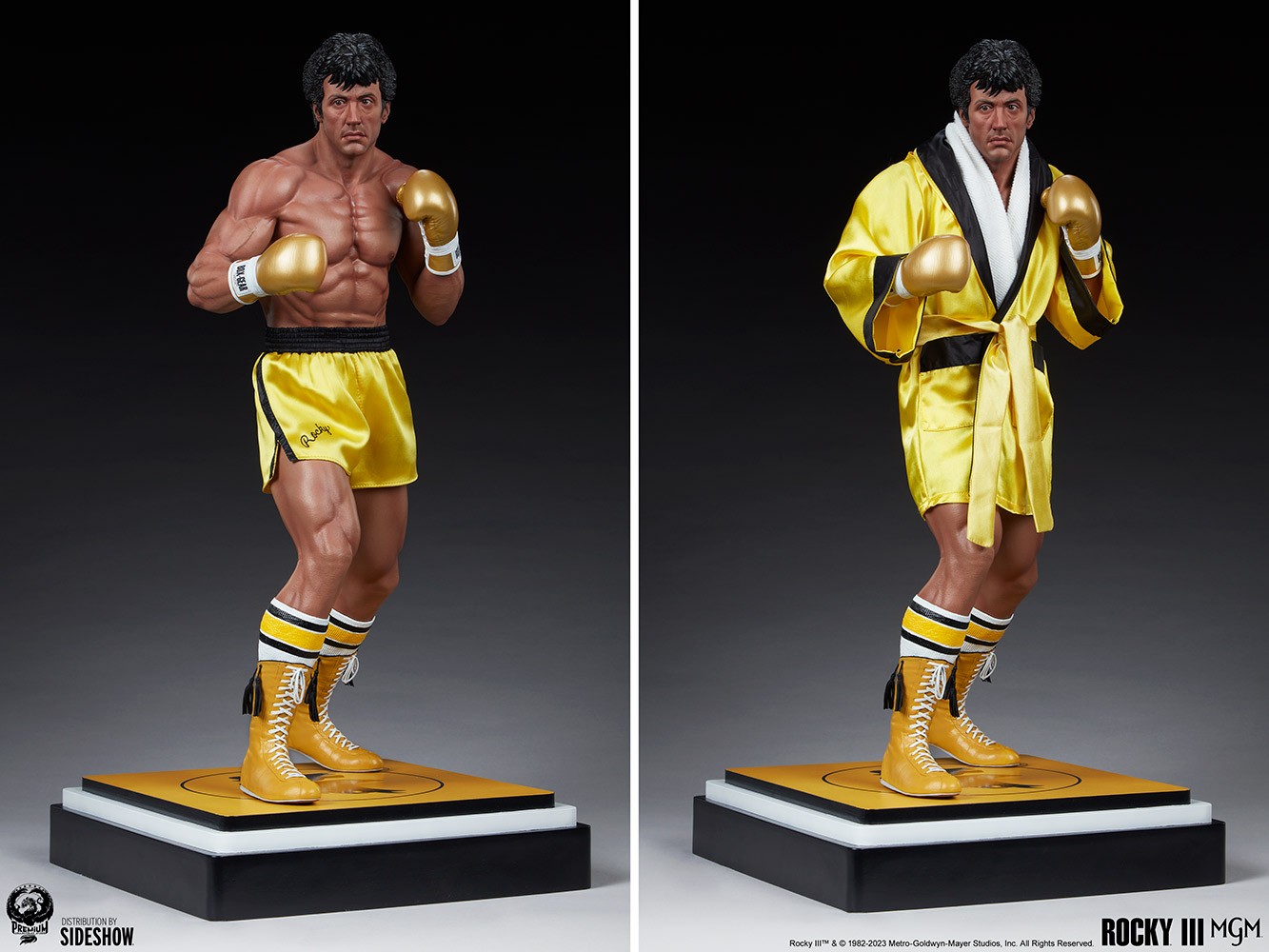 Rocky III (Prototype Shown) View 15