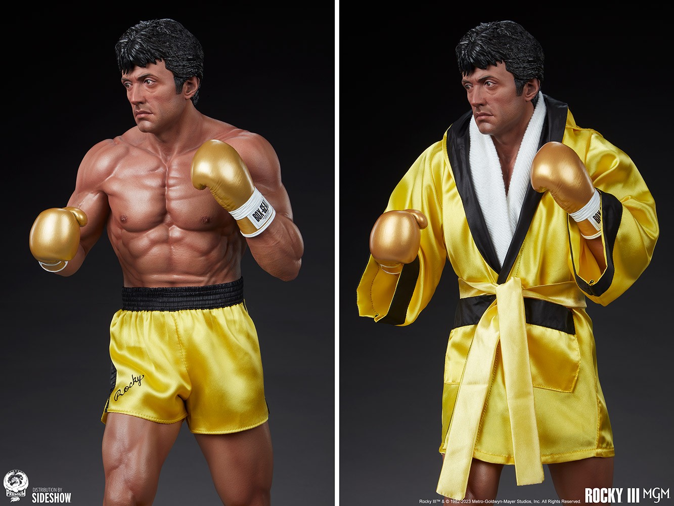 Rocky III (Prototype Shown) View 16