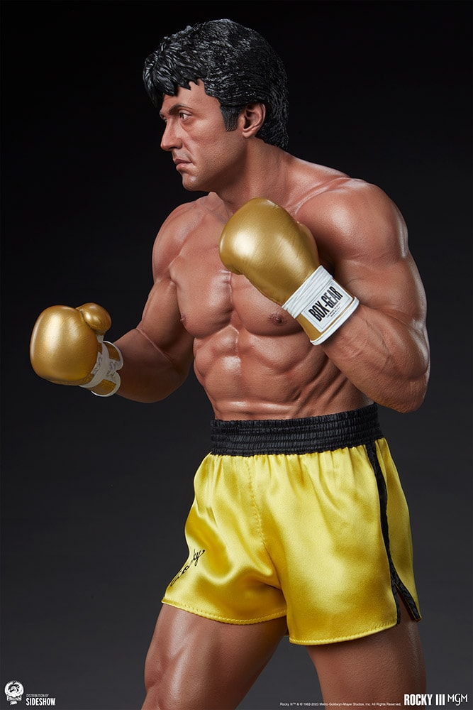 Rocky III (Prototype Shown) View 18
