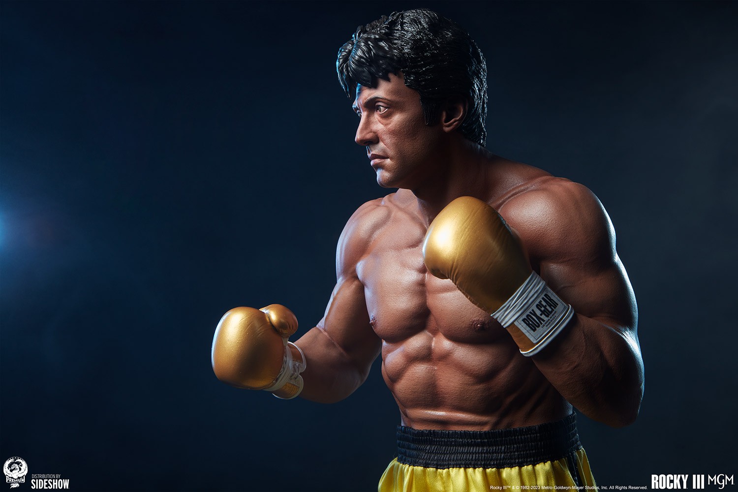 Rocky III (Prototype Shown) View 25