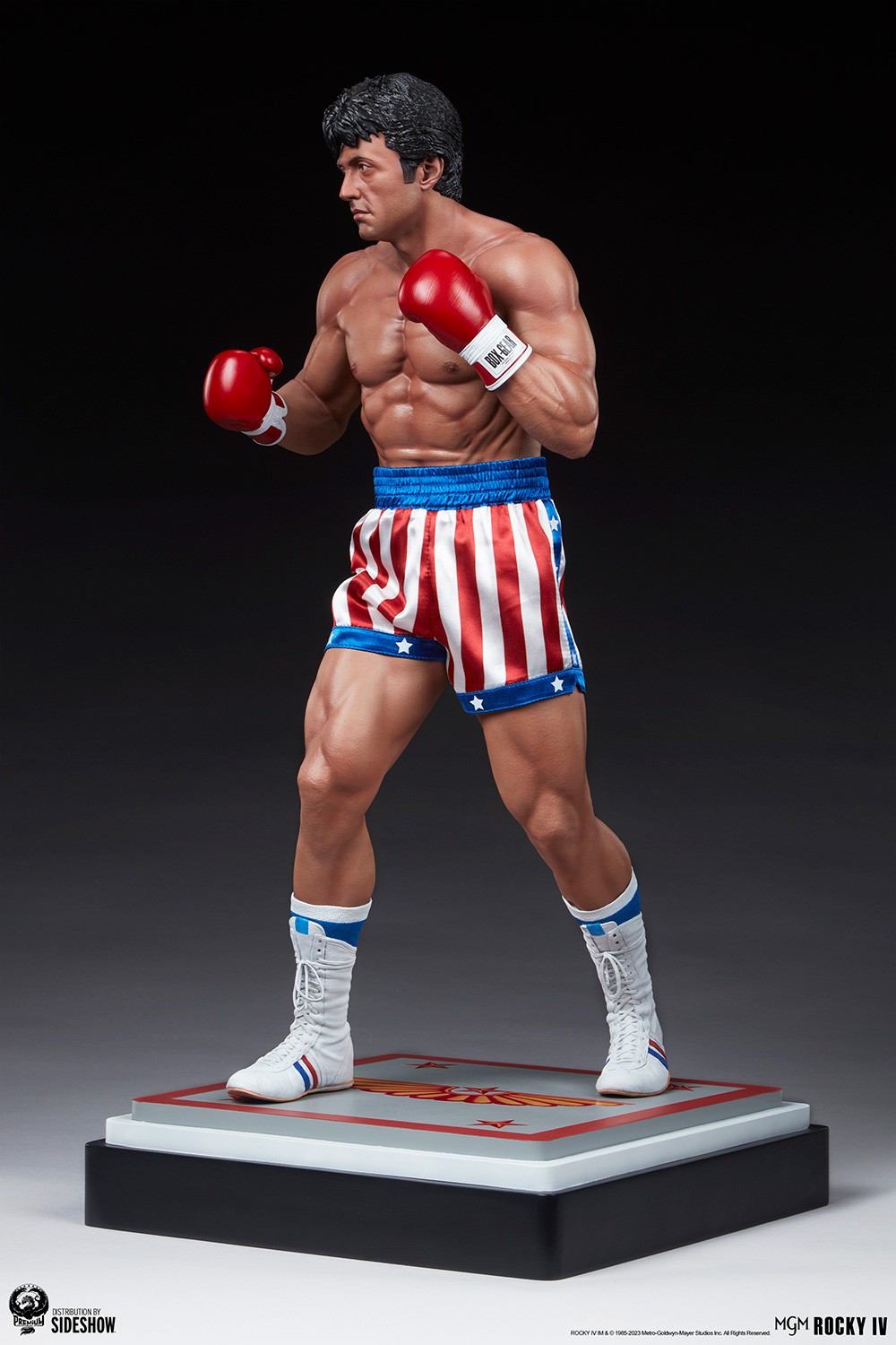 Rocky IV (Prototype Shown) View 7