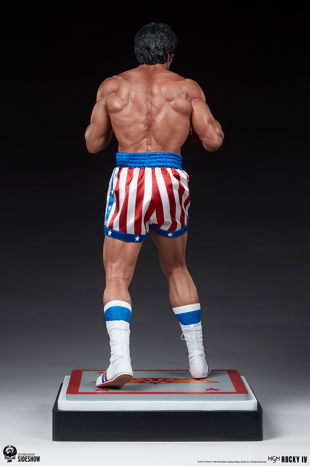 Rocky IV (Prototype Shown) View 9