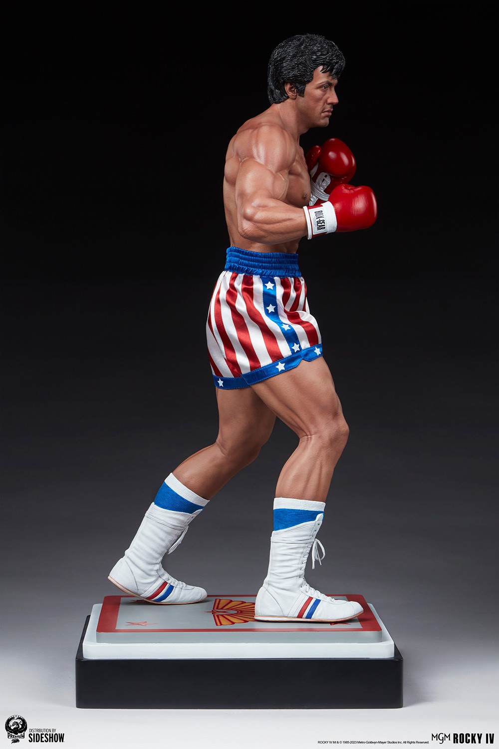 Rocky IV (Prototype Shown) View 11