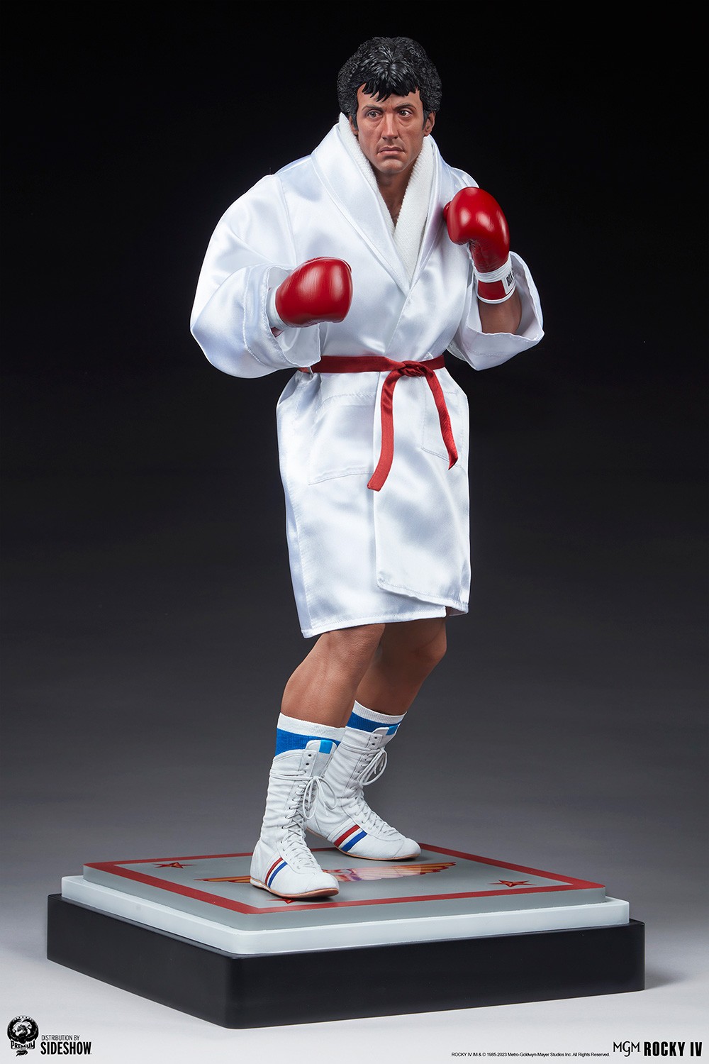 Rocky IV (Prototype Shown) View 14