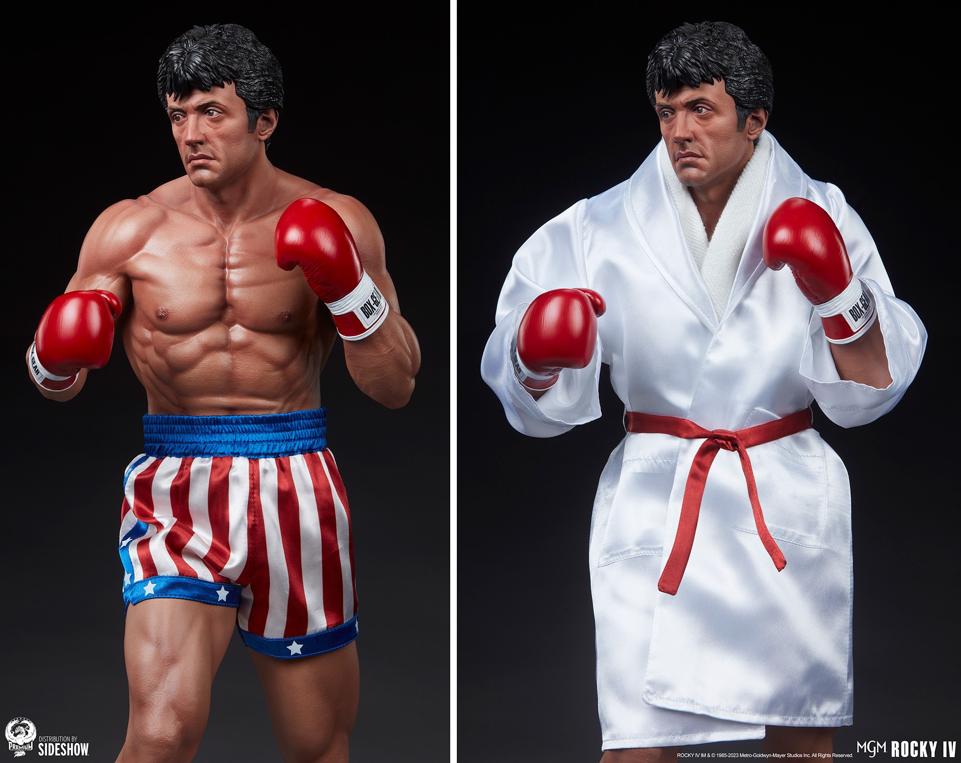 Rocky IV (Prototype Shown) View 15