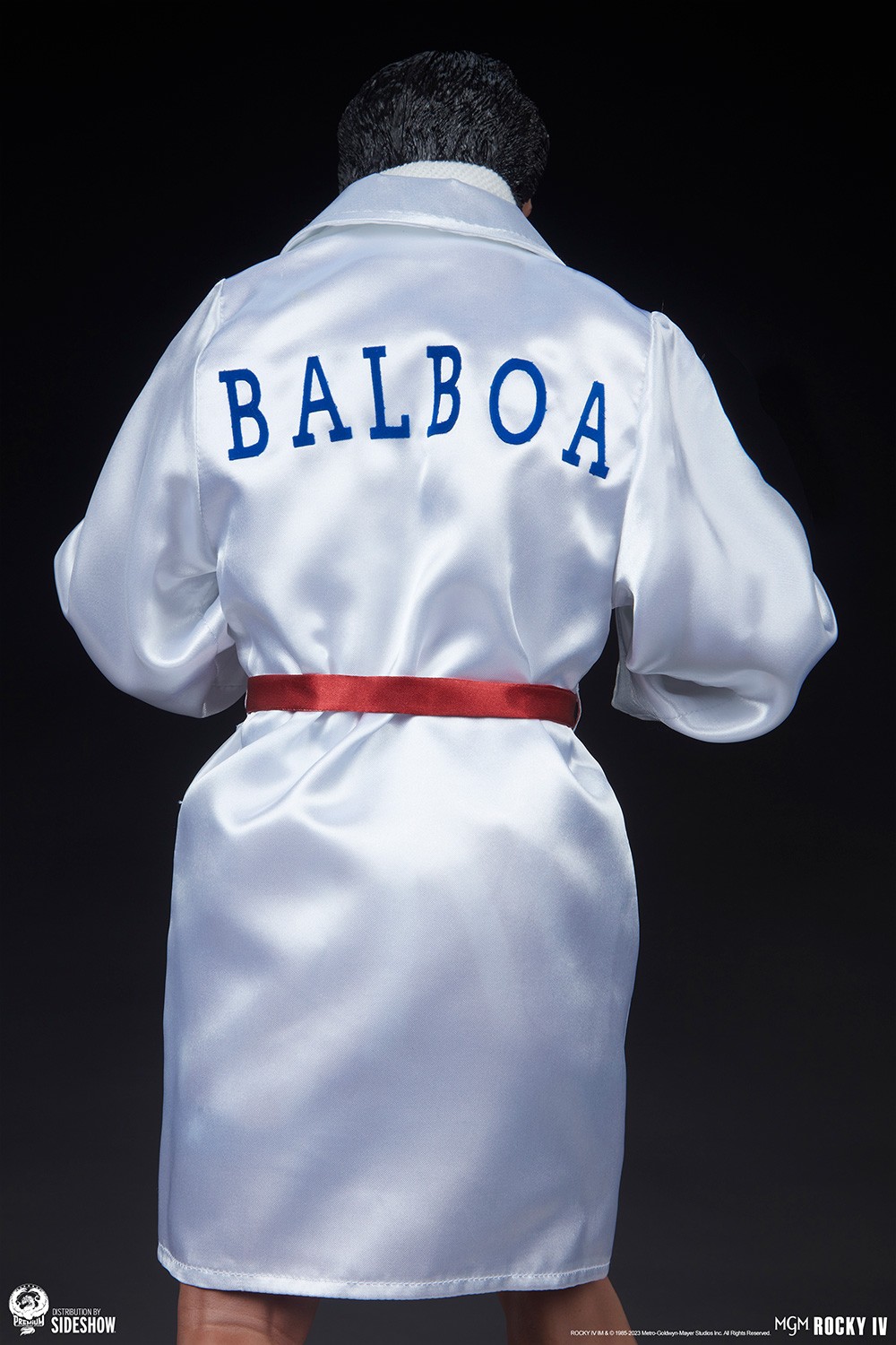 Rocky IV (Prototype Shown) View 16