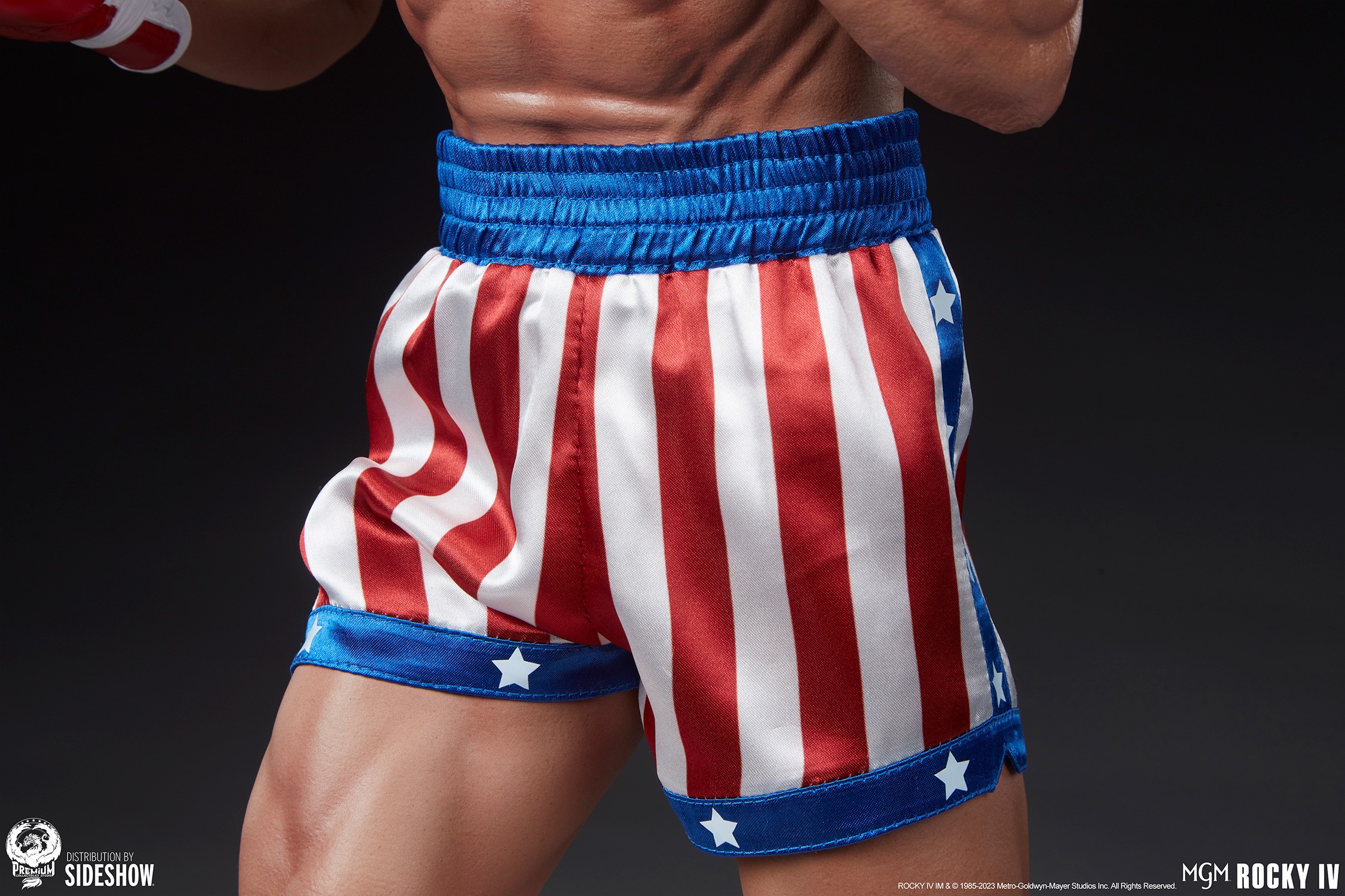 Rocky IV (Prototype Shown) View 20