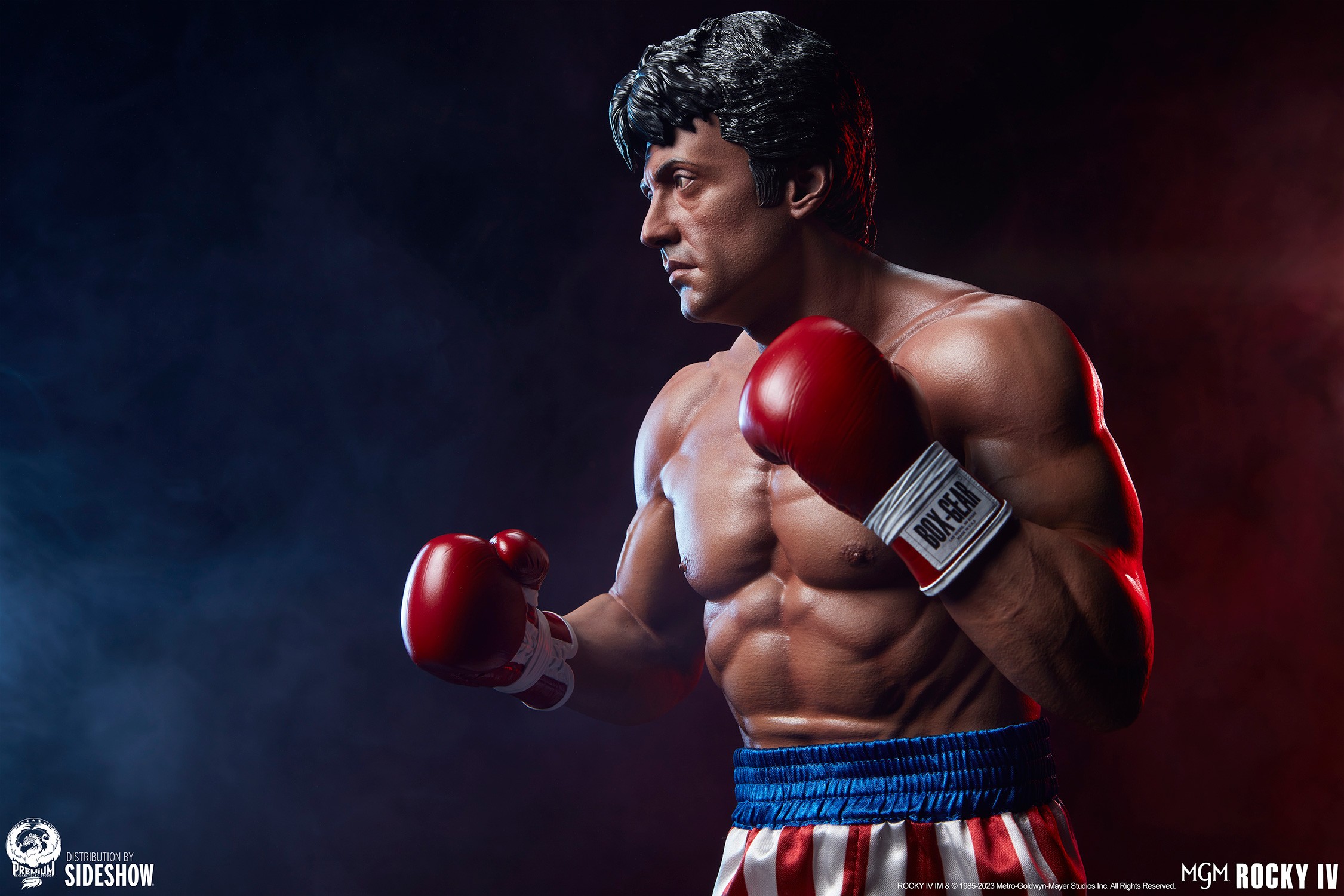 Rocky IV (Prototype Shown) View 25