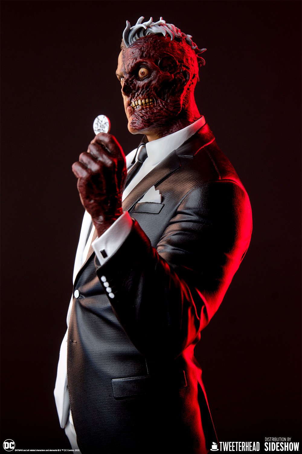 Two-Face (Prototype Shown) View 4