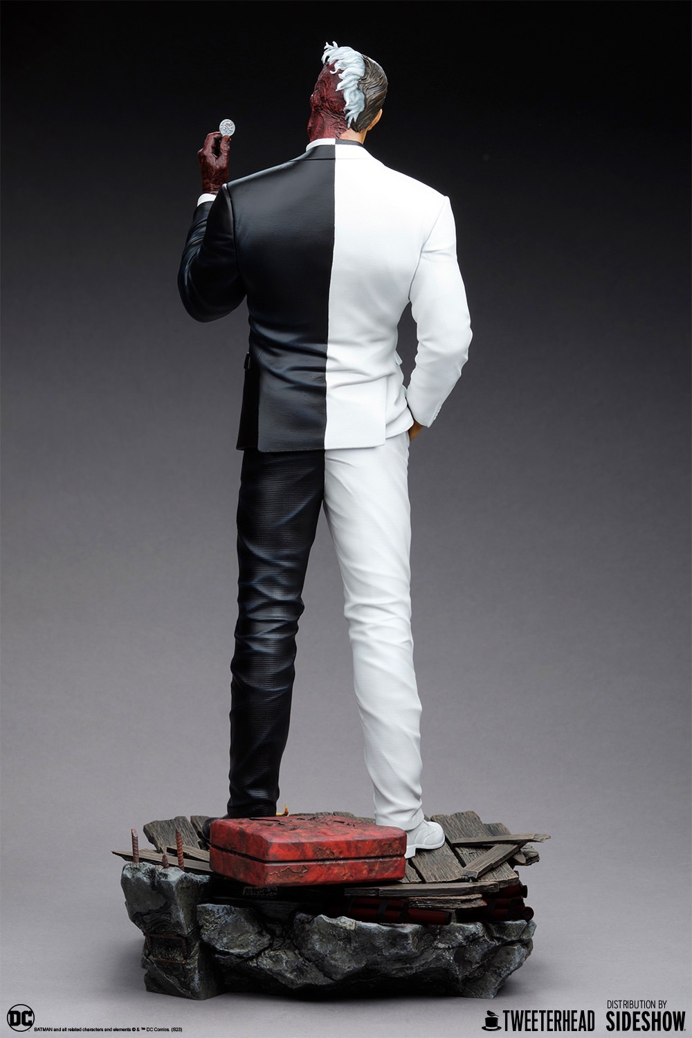 Two-Face (Prototype Shown) View 9