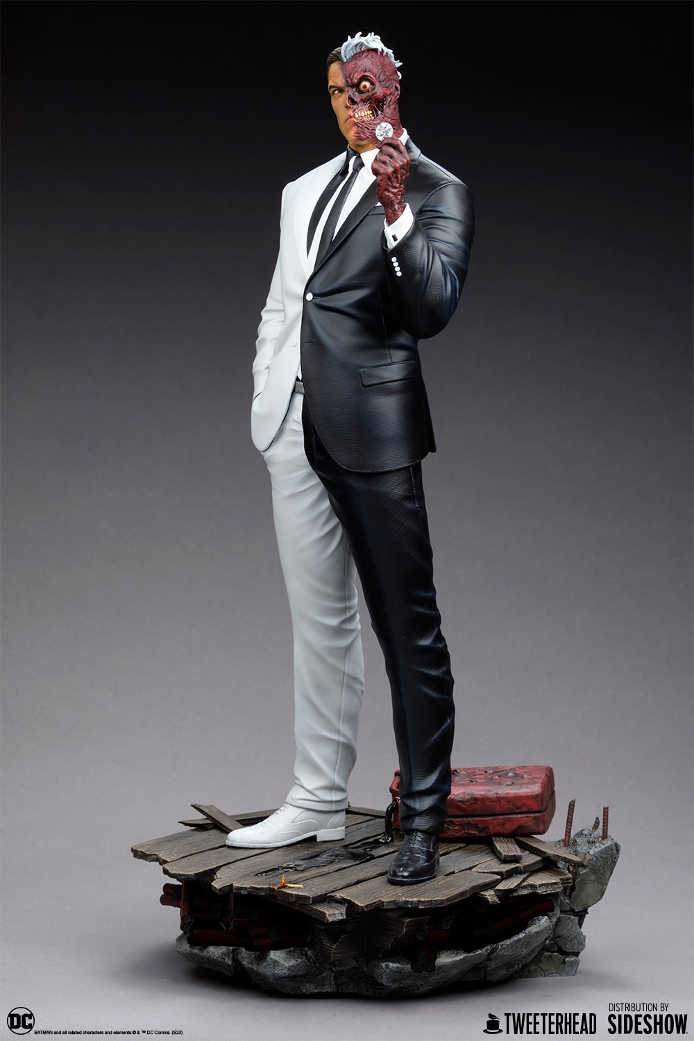 Two-Face (Prototype Shown) View 11