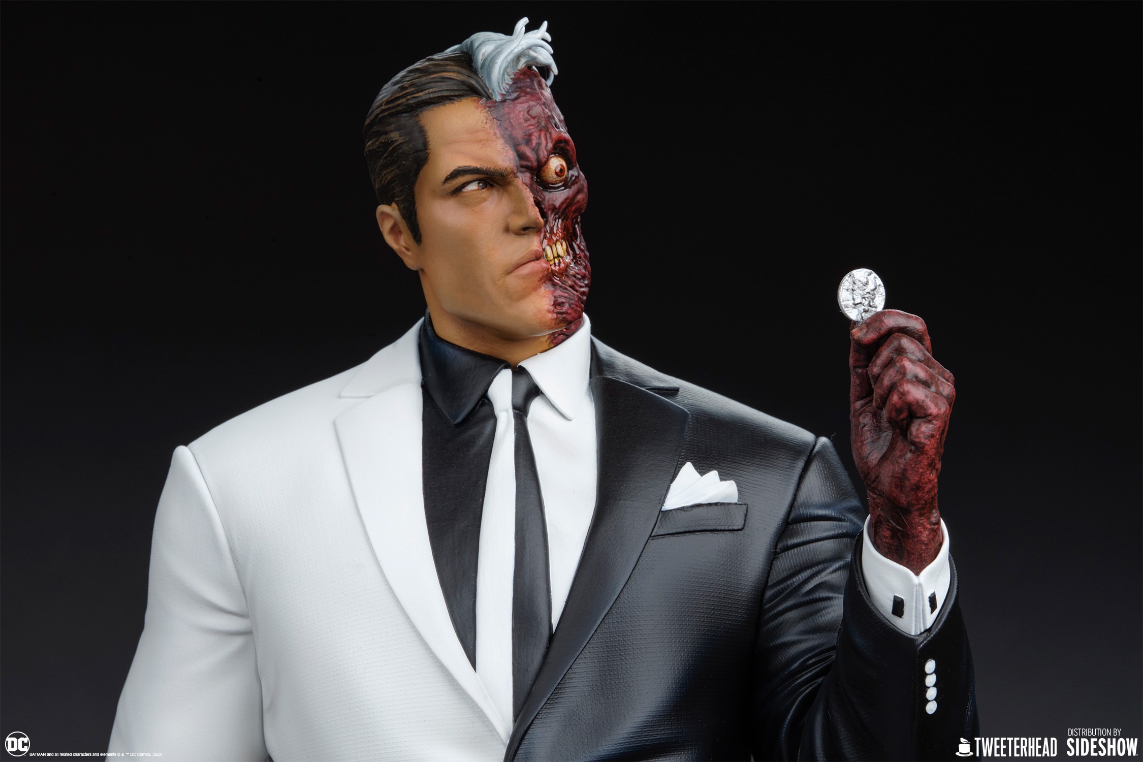 Two-Face (Prototype Shown) View 13