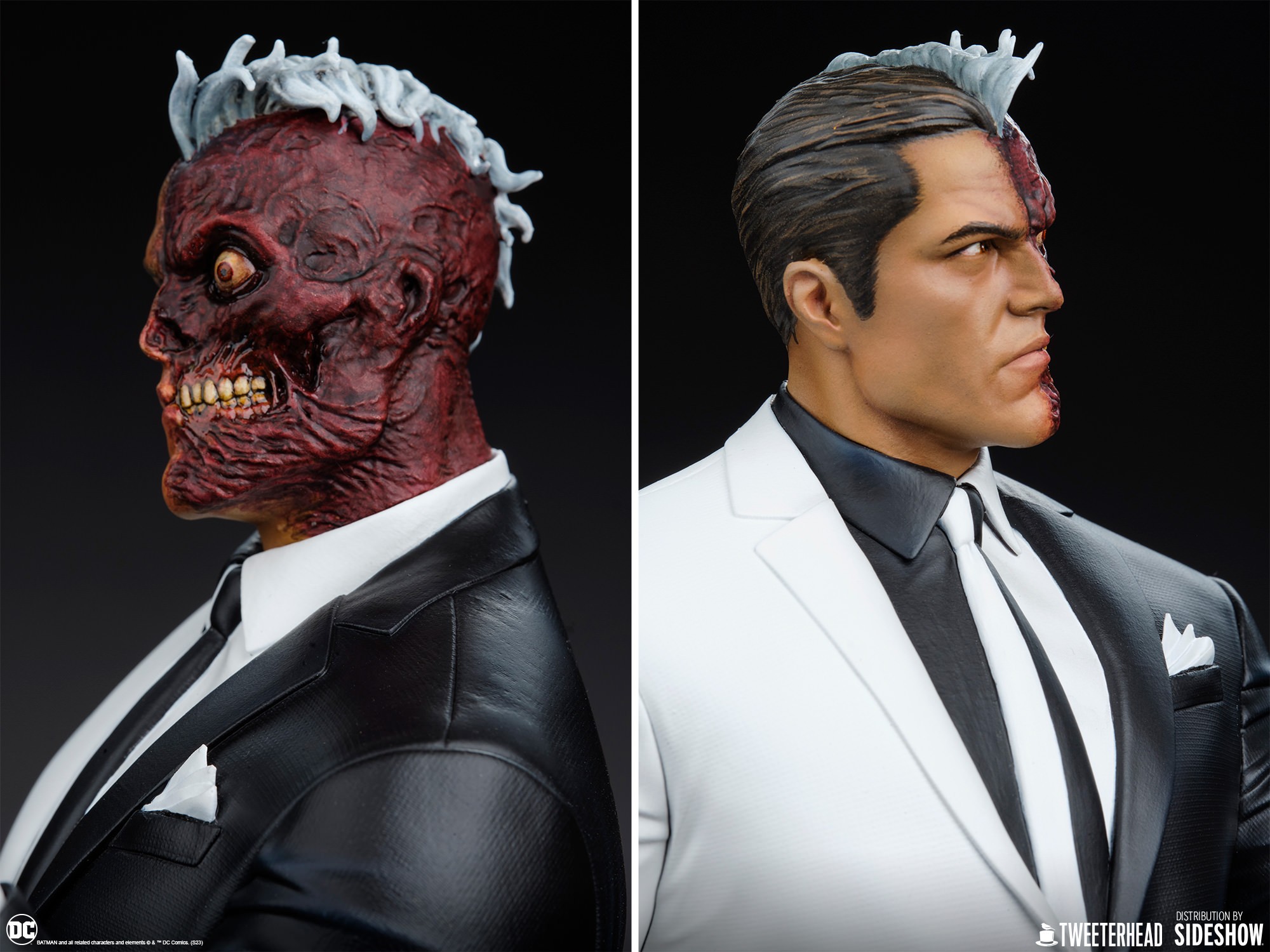Two-Face (Prototype Shown) View 14