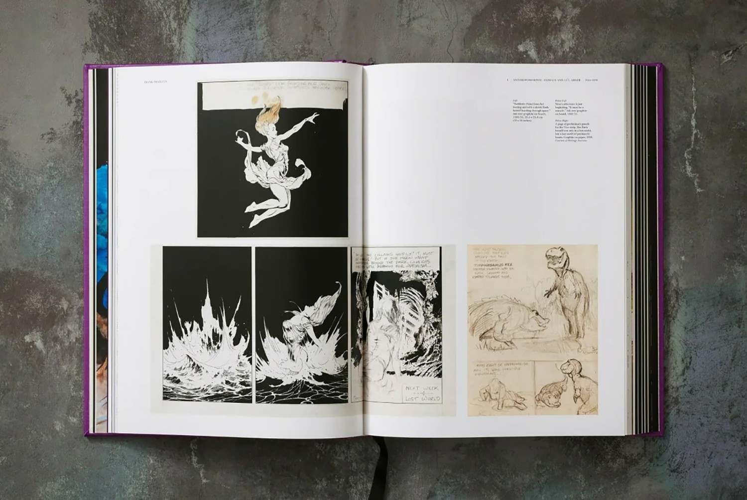 The Fantastic Worlds of Frank Frazetta