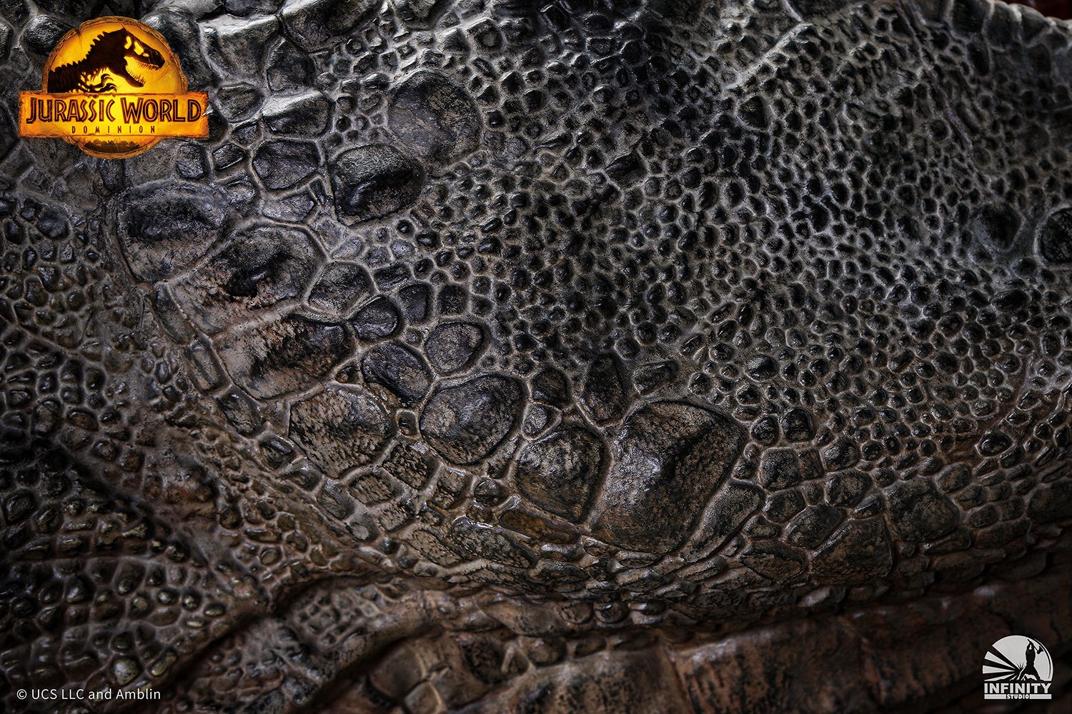 Giganotosaurus