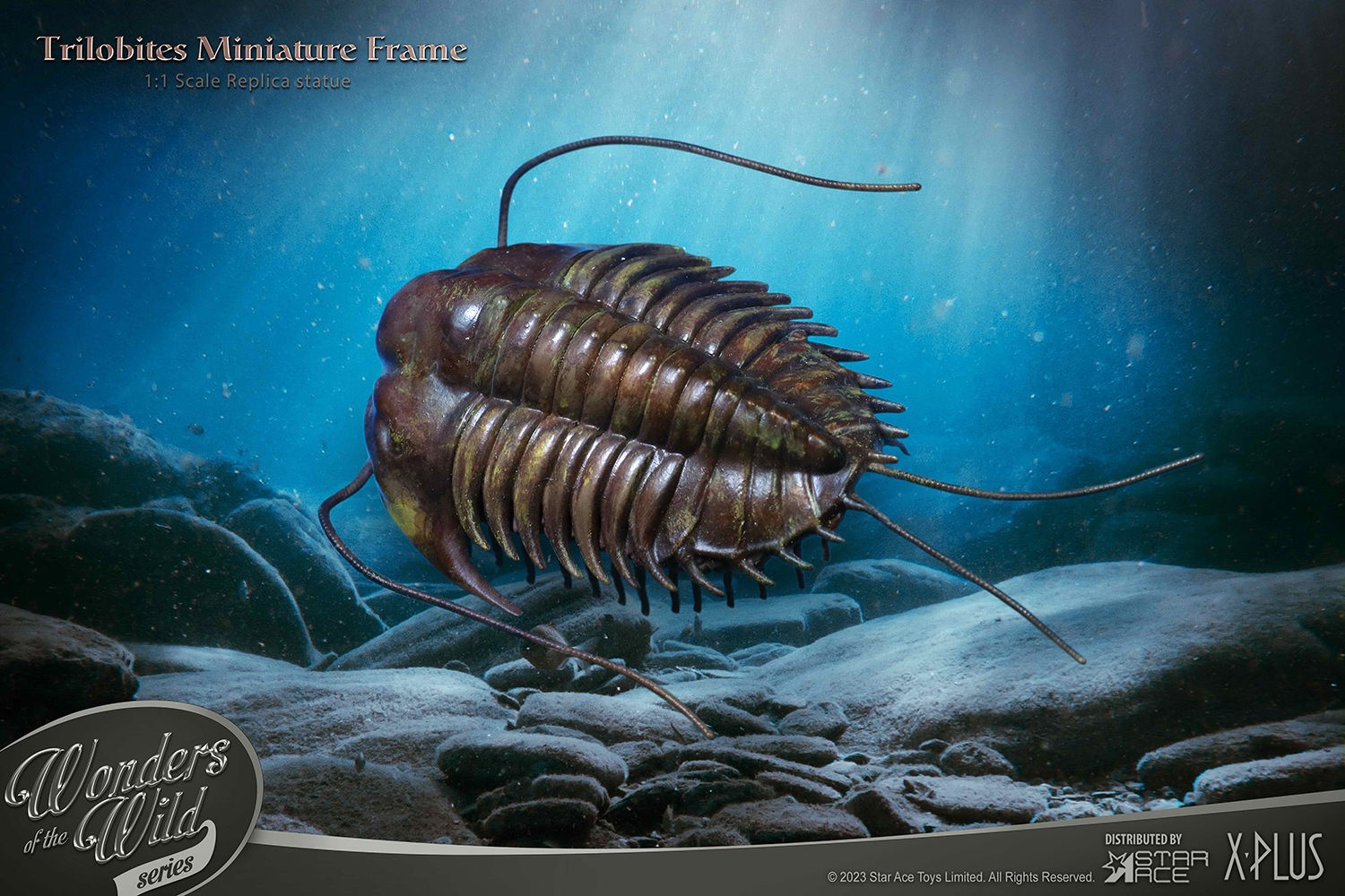 Trilobites Miniature Frame & Fossil Deluxe- Prototype Shown