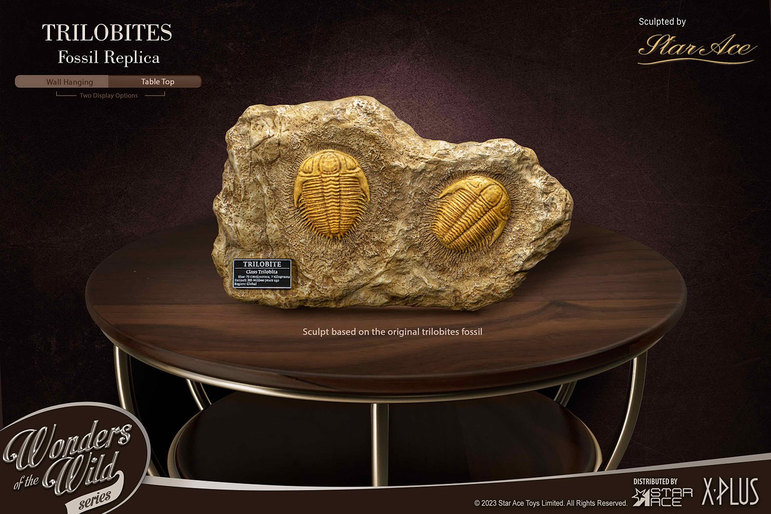 Trilobites Miniature Frame & Fossil Deluxe- Prototype Shown