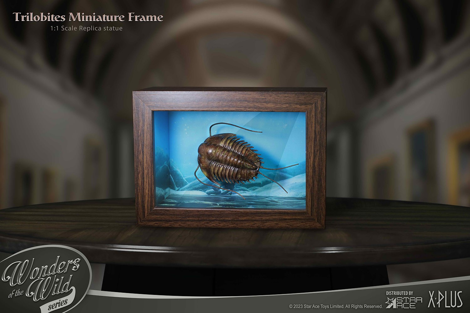 Trilobites Miniature Frame & Fossil Deluxe- Prototype Shown