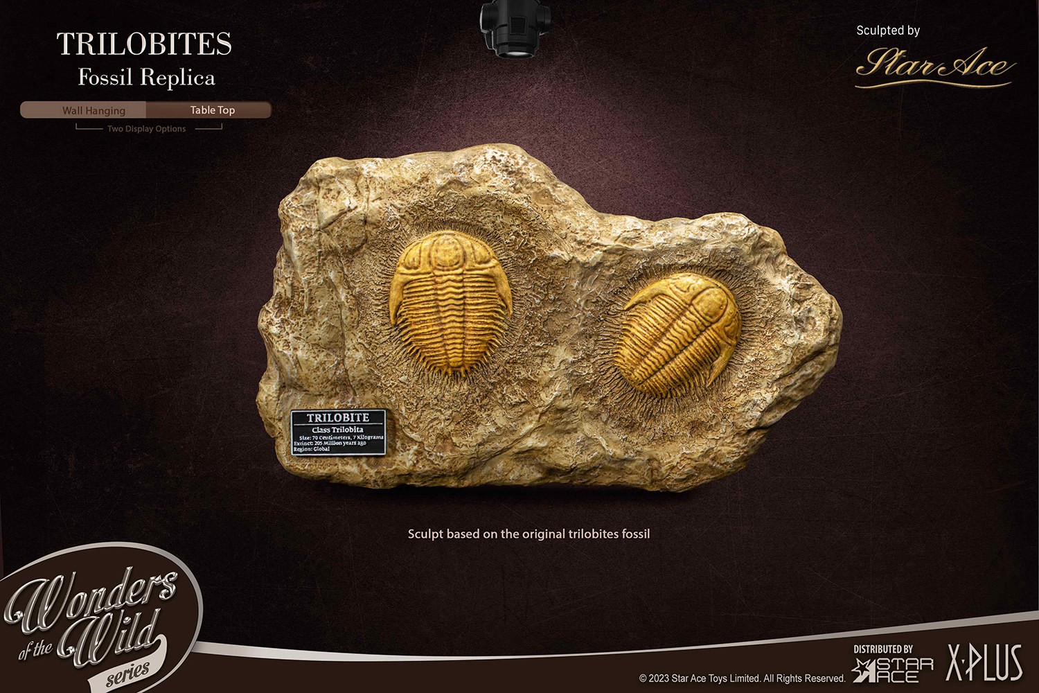 Trilobites Miniature Frame & Fossil Deluxe