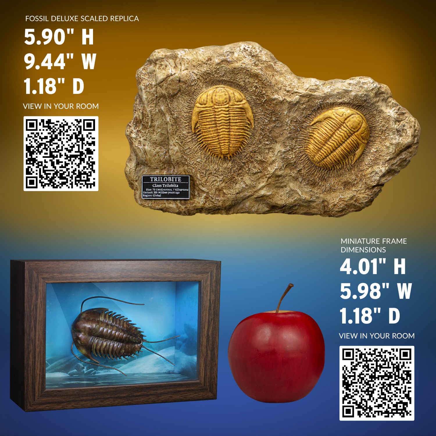 Trilobites Miniature Frame & Fossil Deluxe- Prototype Shown