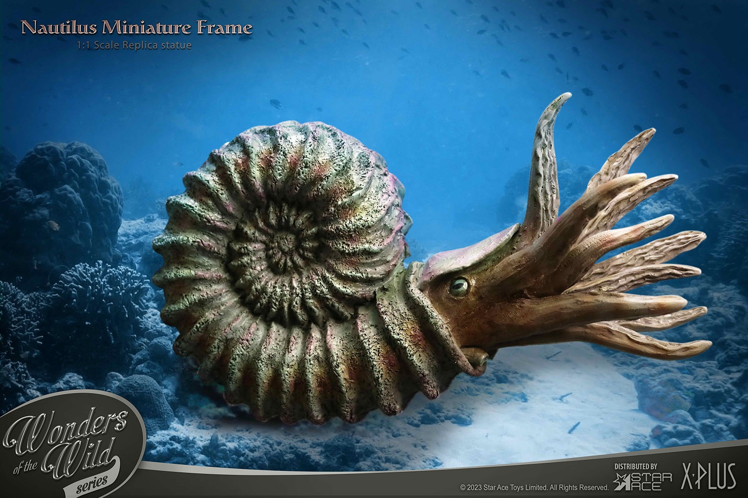 Nautilus Miniature Frame & Fossil Deluxe- Prototype Shown