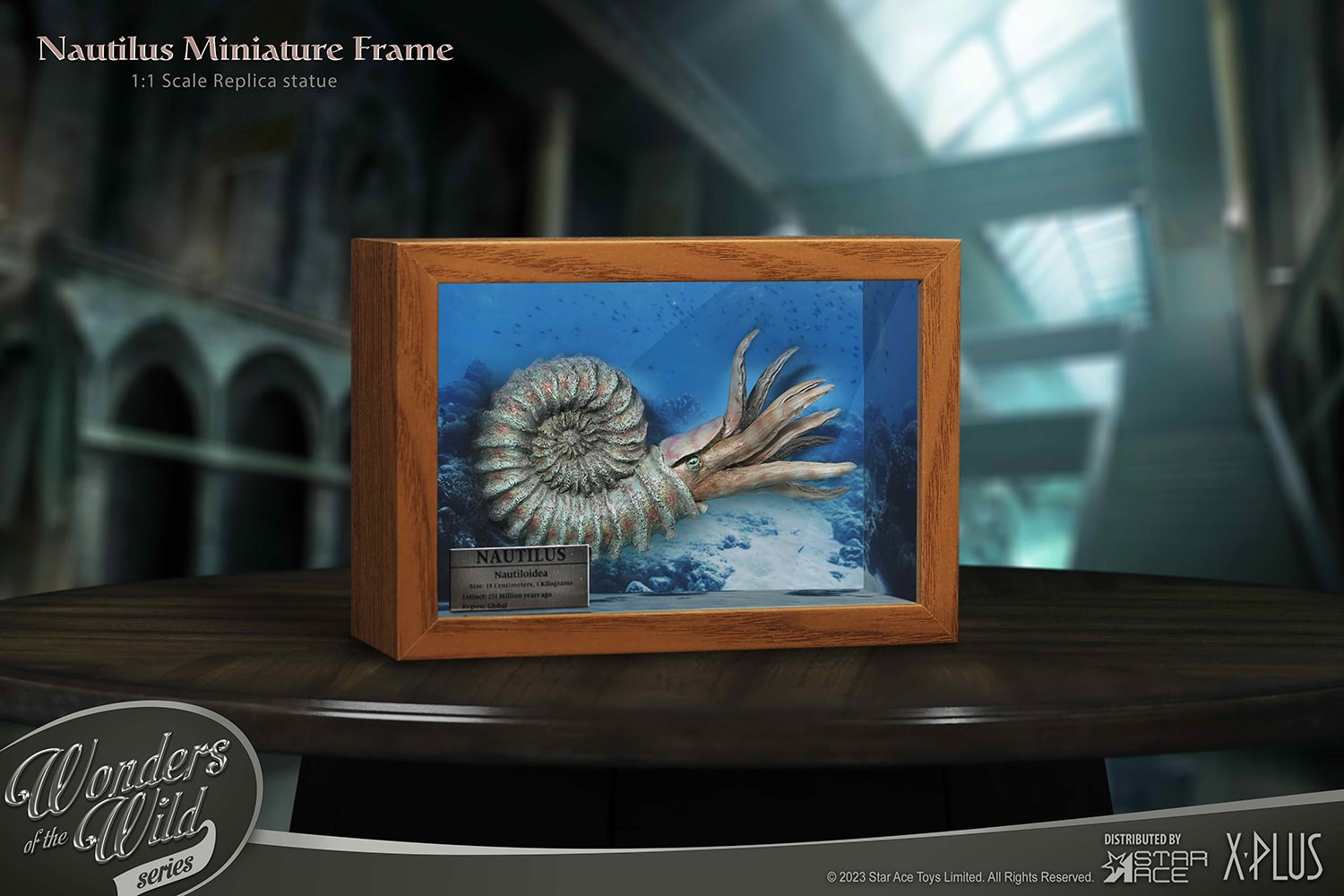 Nautilus Miniature Frame & Fossil Deluxe- Prototype Shown