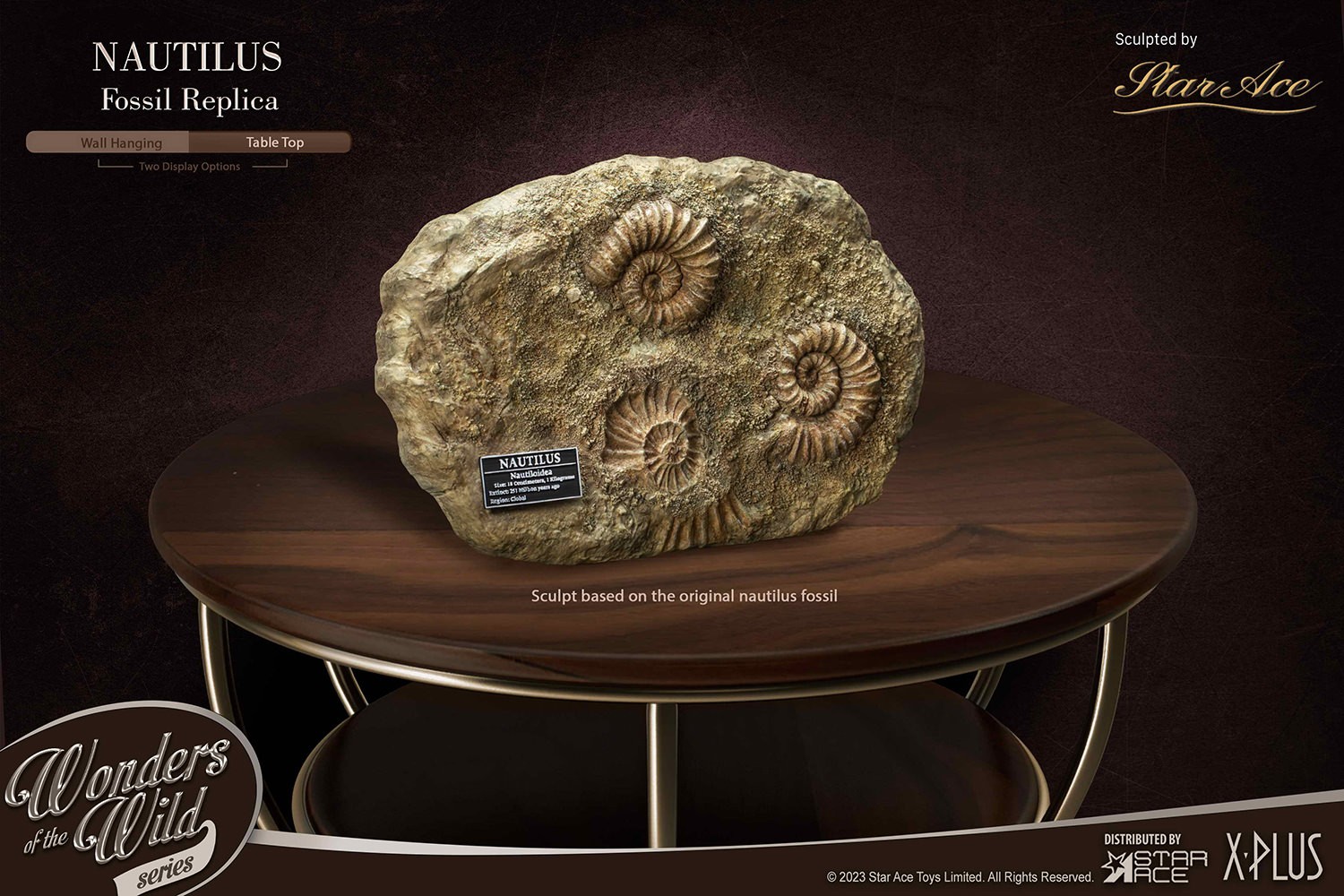 Nautilus Miniature Frame & Fossil Deluxe- Prototype Shown