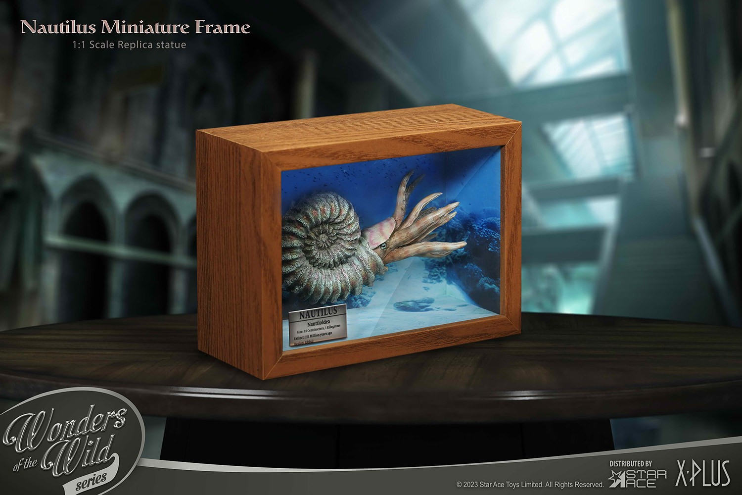 Nautilus Miniature Frame & Fossil Deluxe