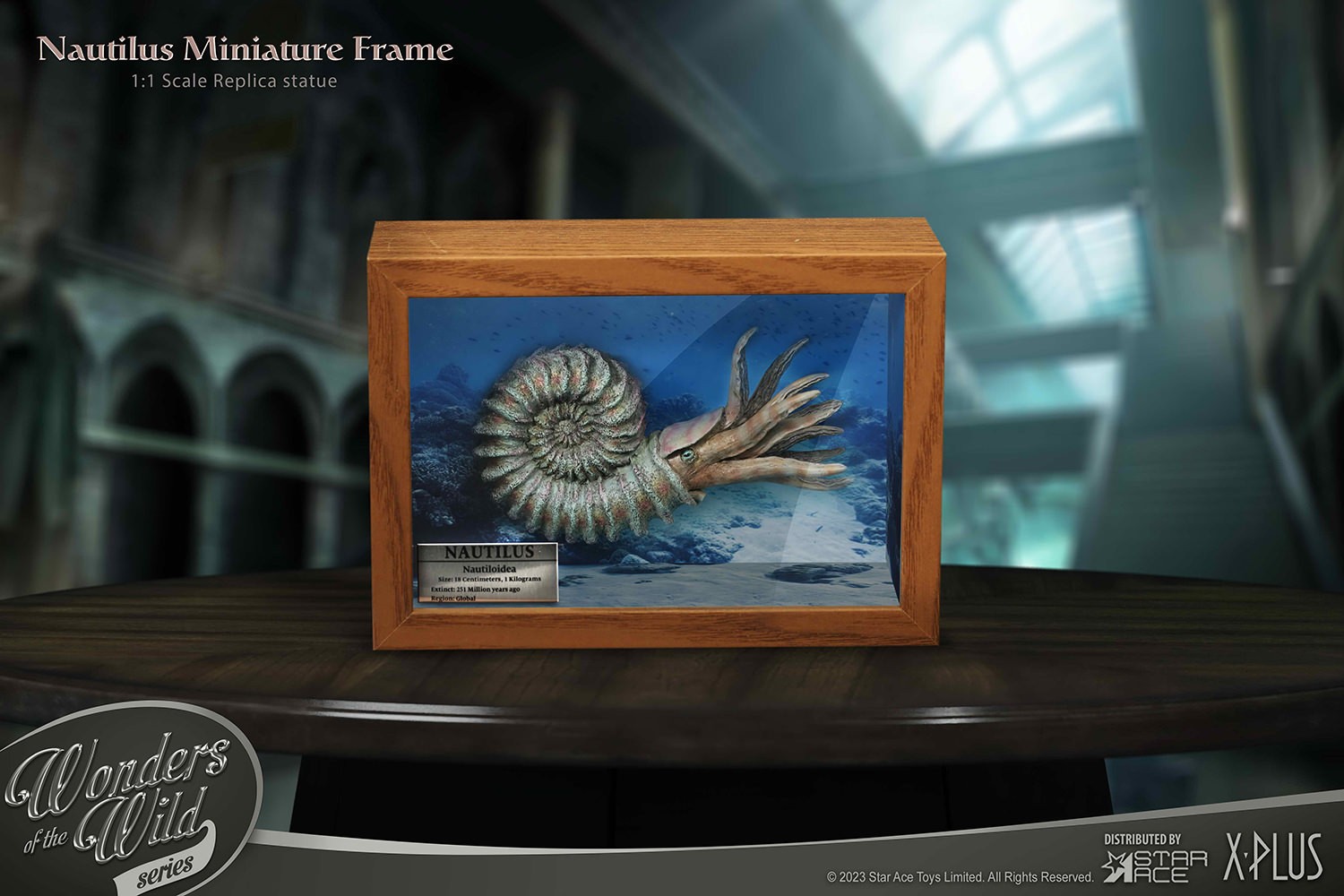 Nautilus Miniature Frame & Fossil Deluxe