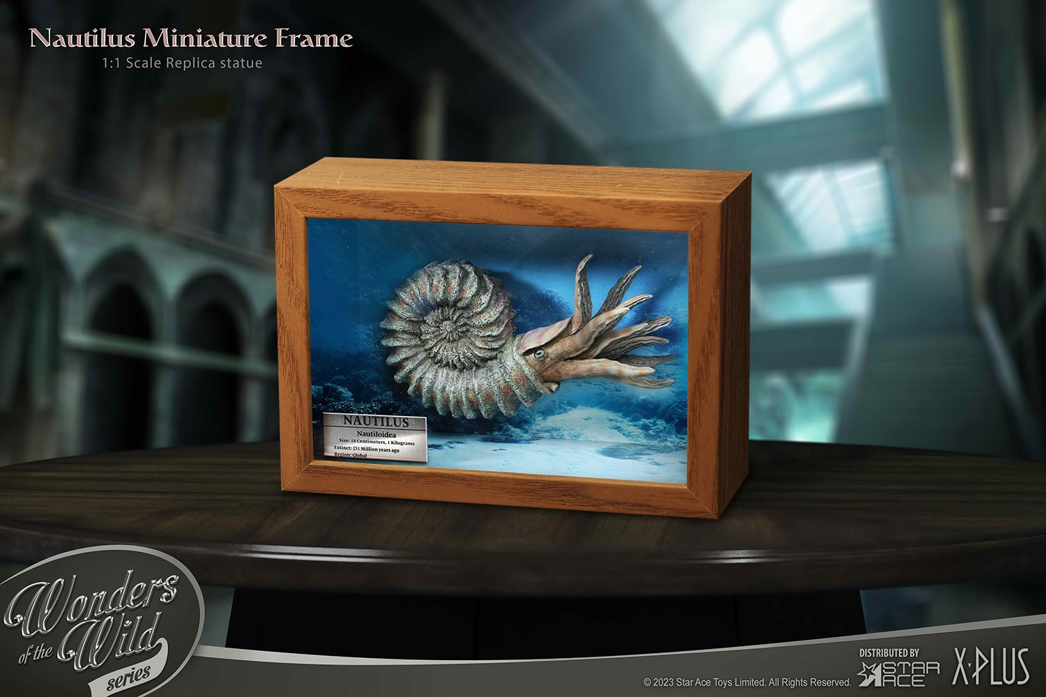 Nautilus Miniature Frame & Fossil Deluxe