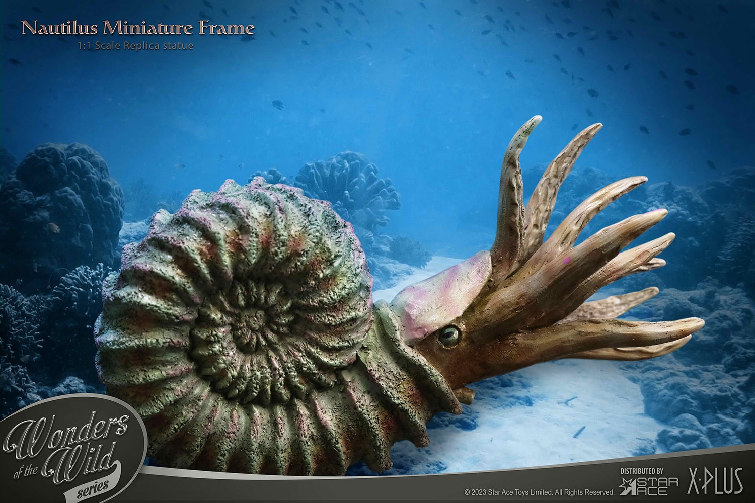 Nautilus Miniature Frame & Fossil Deluxe
