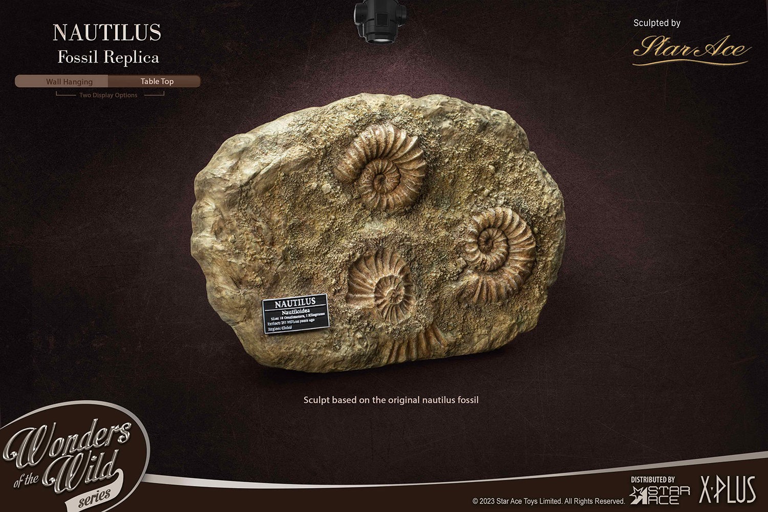 Nautilus Miniature Frame & Fossil Deluxe