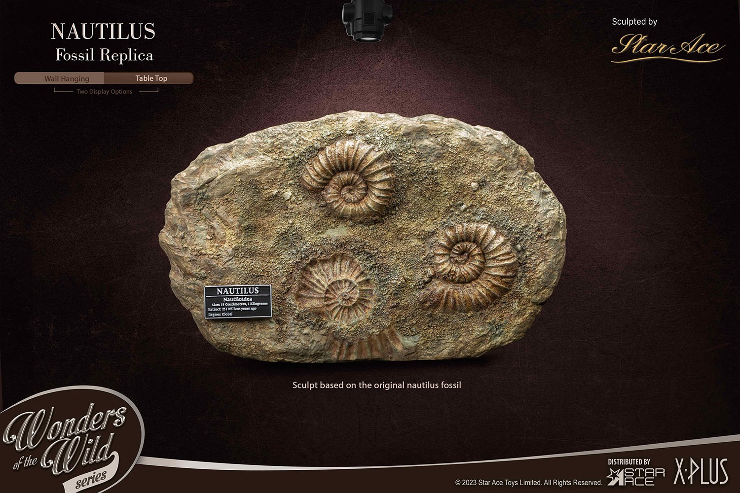 Nautilus Miniature Frame & Fossil Deluxe