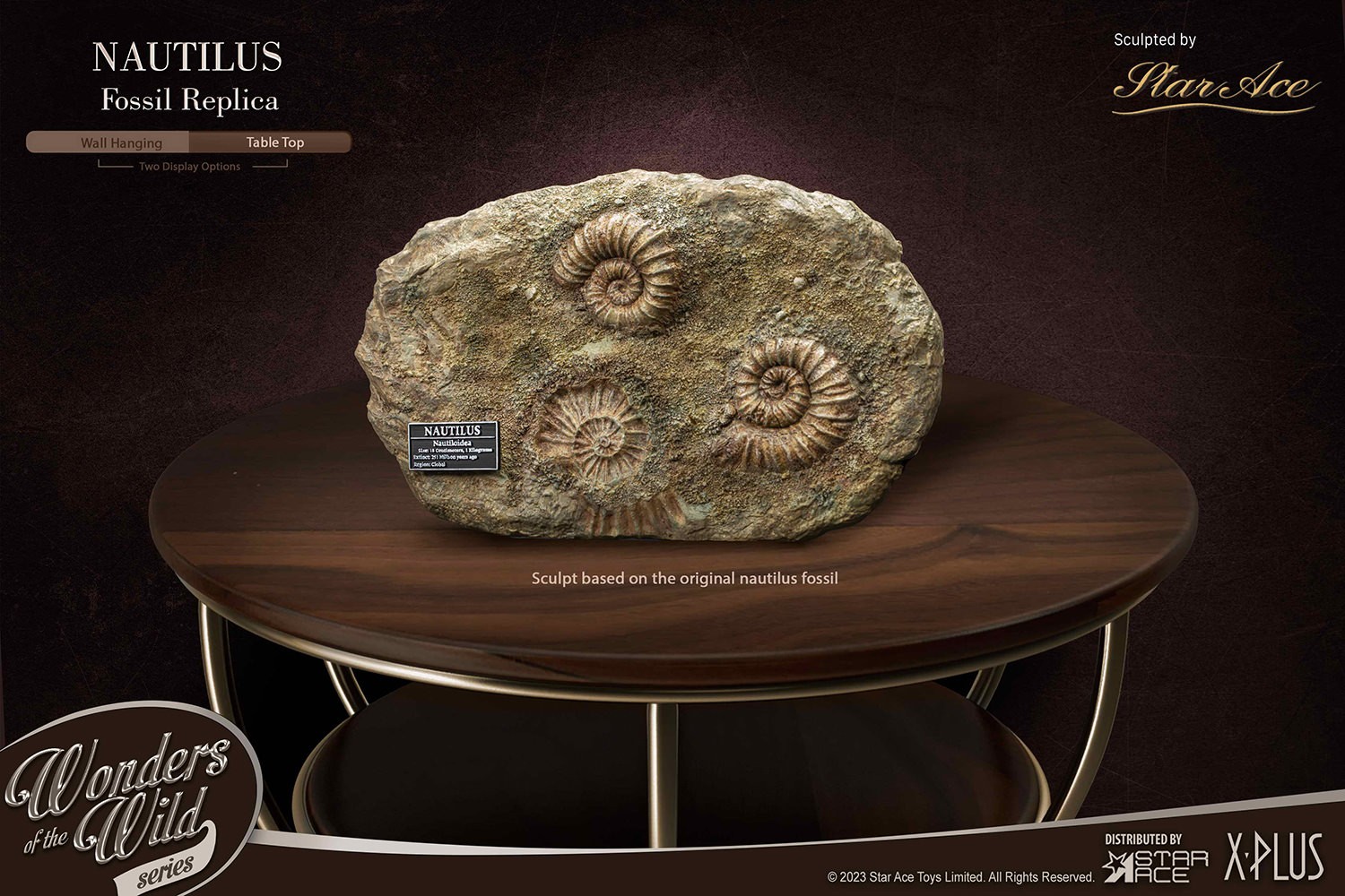 Nautilus Miniature Frame & Fossil Deluxe