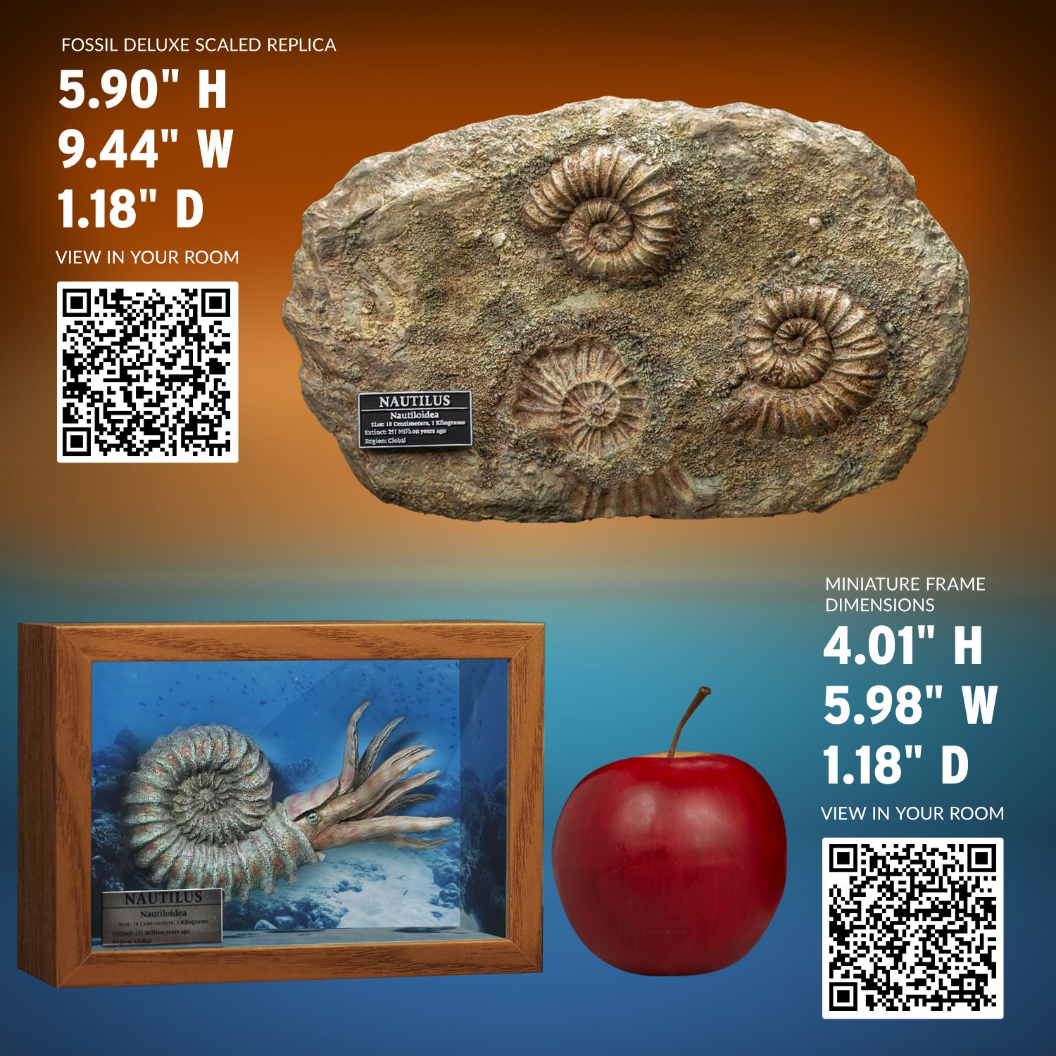Nautilus Miniature Frame & Fossil Deluxe- Prototype Shown