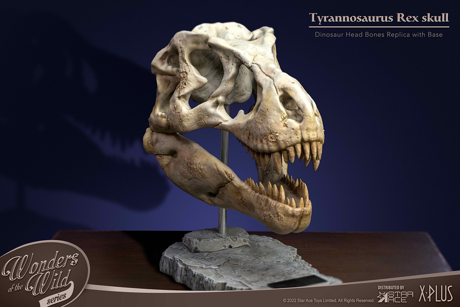 T-Rex Head Skull- Prototype Shown