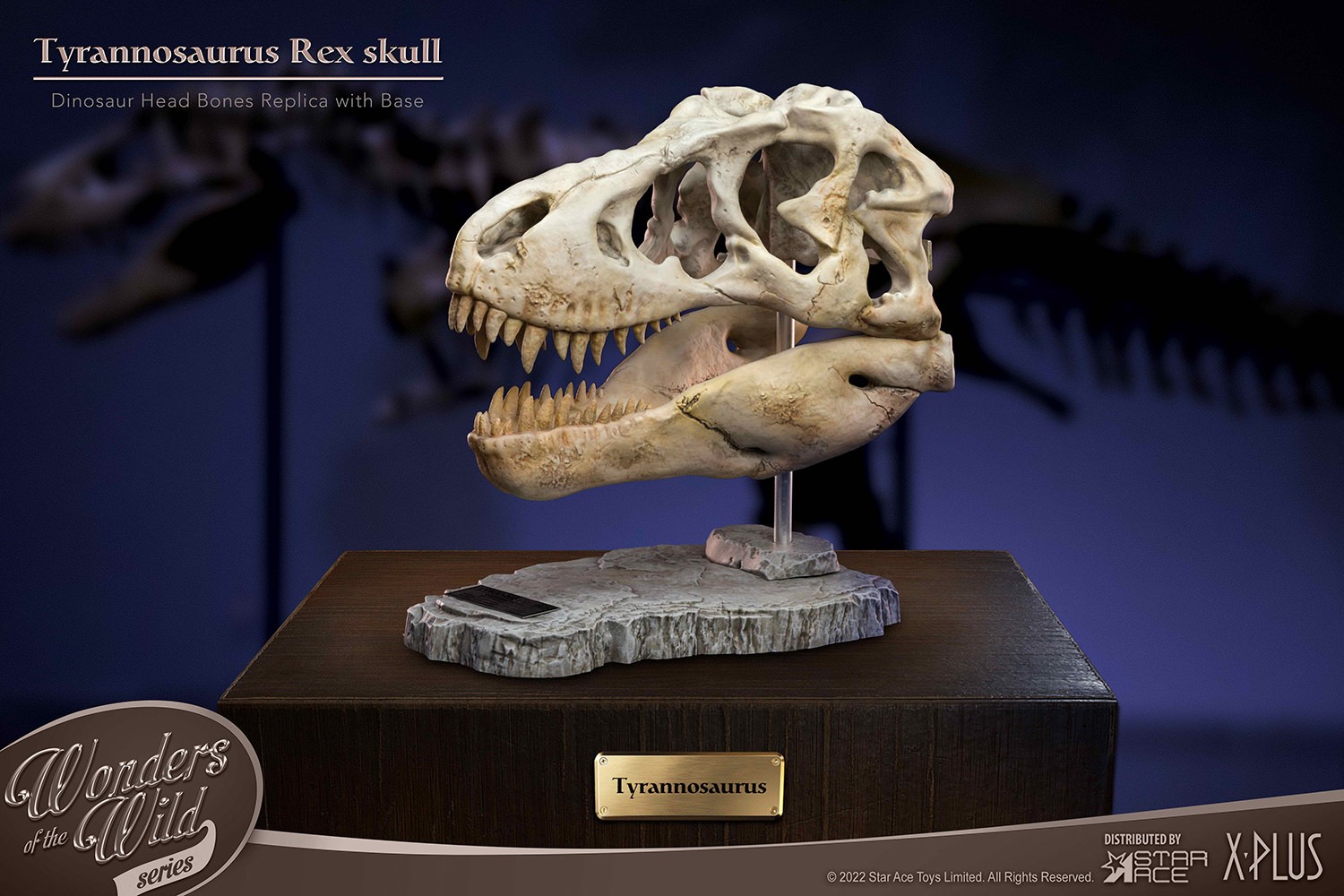 T-Rex Head Skull Scaled Replica by Star Ace Toys | Sideshow 
