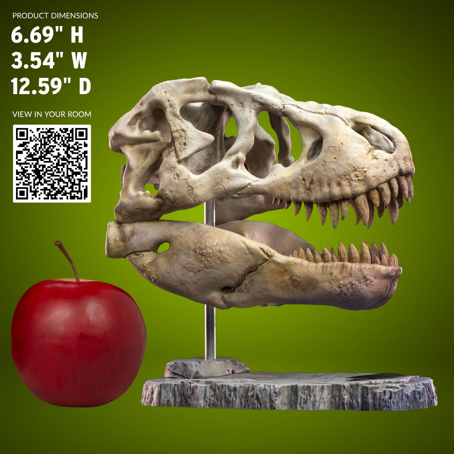 T-Rex Head Skull- Prototype Shown