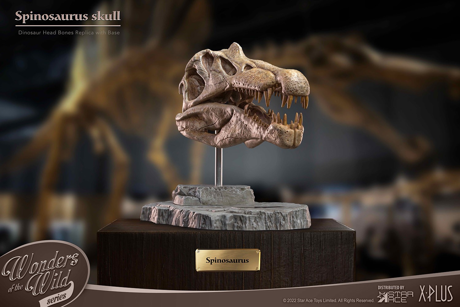 Spinosaurus Head Skull- Prototype Shown