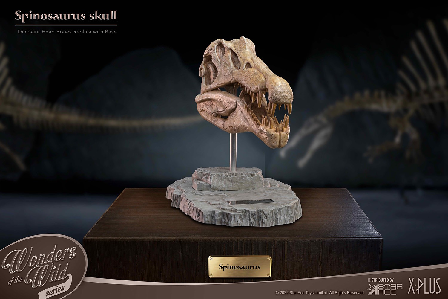 Spinosaurus Head Skull