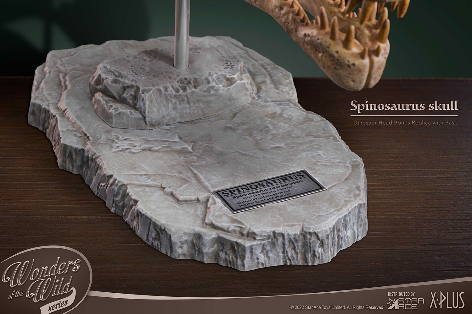 Spinosaurus Head Skull