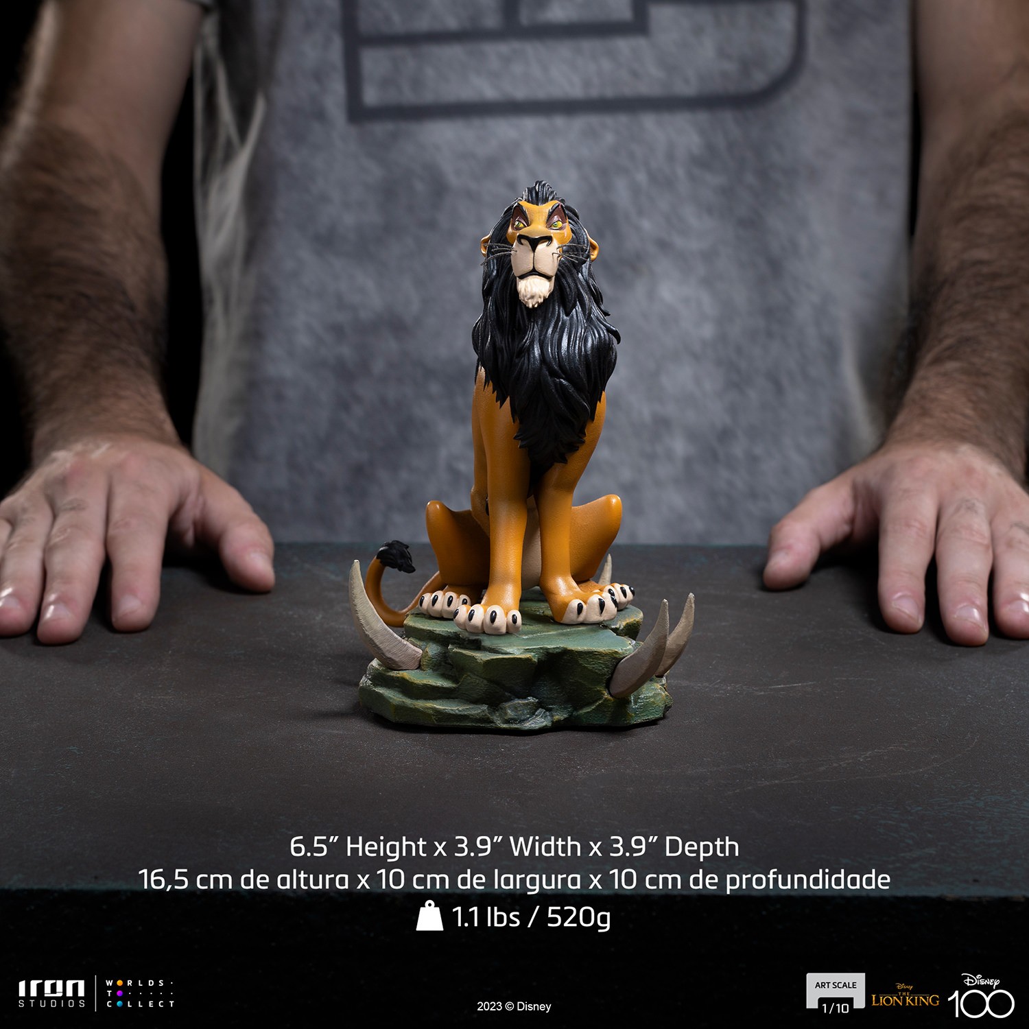 Scar Collector Edition - Prototype Shown