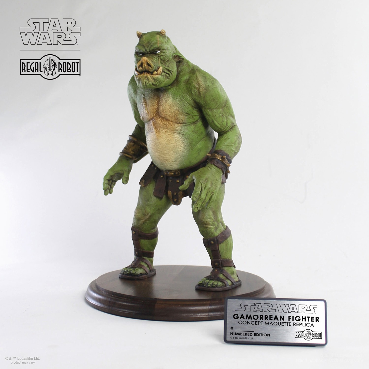 Gamorrean Fighter