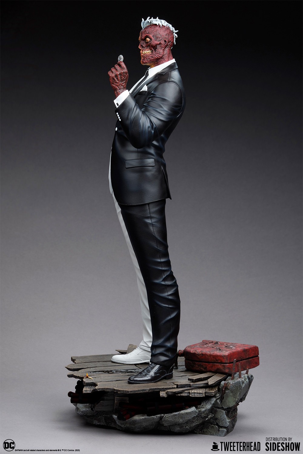 Two-Face (Prototype Shown) View 10